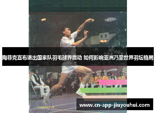 陶菲克宣布退出国家队羽毛球界震动 如何影响亚洲乃至世界羽坛格局